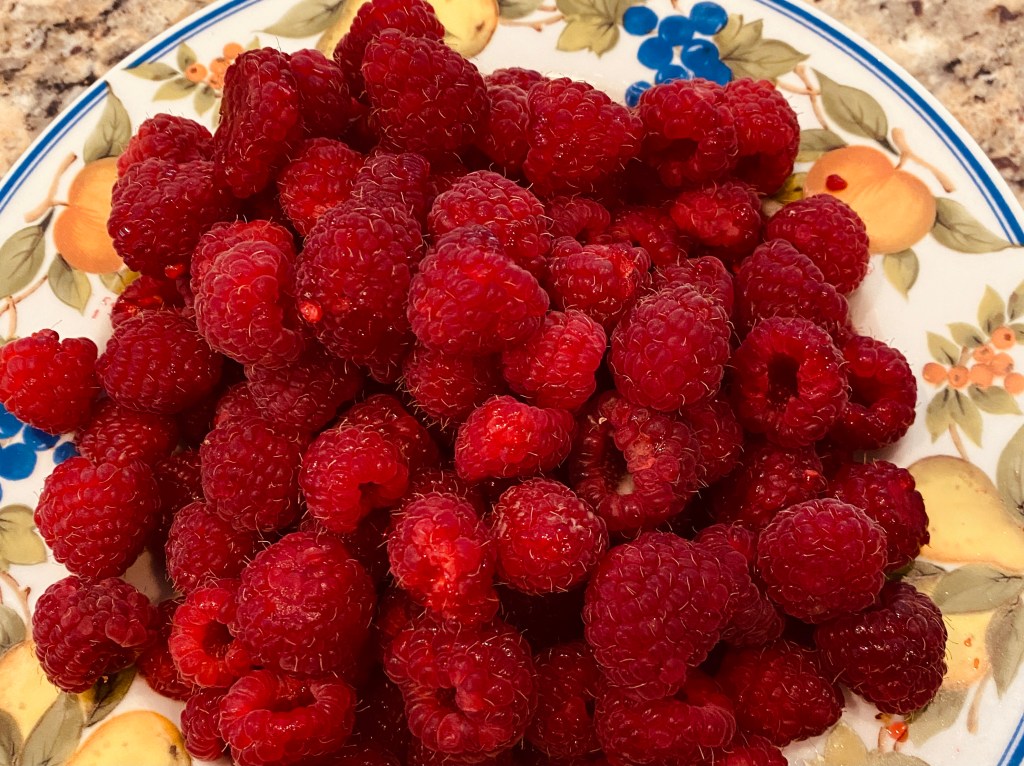 Raspberry Ripple Ice Cream – geekycooker.com
